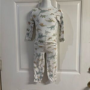 18M Milkberry Comfy Dino White/Green/Gray long Sleeve/Pants Pajama Set.  In VGUC